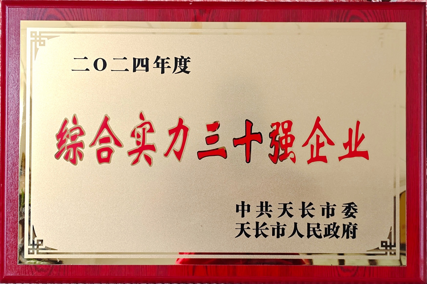 天長(zhǎng)市綜合實(shí)力30強(qiáng)企業(yè)_副本.jpg